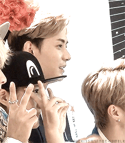 tumblr_msgt6sFO4X1szvndfo3_250.gif